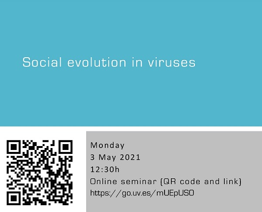 Social evolution in viruses